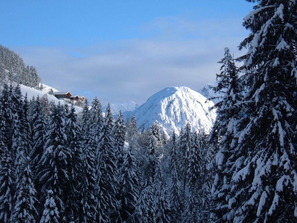 Bed & Breakfast Dolomiti Bey Haus Pinter Bed & Breakfast Assling Exterior photo