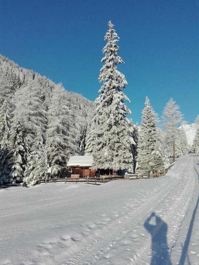 Bed & Breakfast Dolomiti Bey Haus Pinter Bed & Breakfast Assling Exterior photo